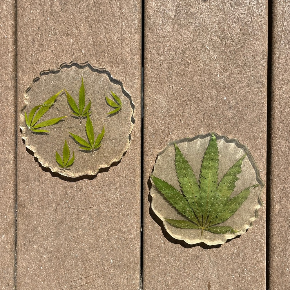 Epoxy resin pot leaf coasters
